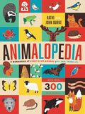 Colorful book cover featuring a grid of stylized Irish animal illustrations like a badger, fox, and deer.