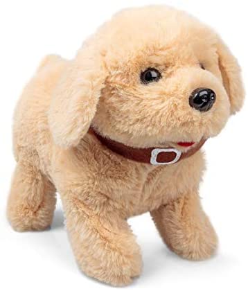 Plush light brown labrador puppy with soft fur, black eyes, and a brown collar with a white buckle.