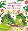Colorful book cover with a white bunny peeking through green bushes, purple berries, flowers, and garden insects.