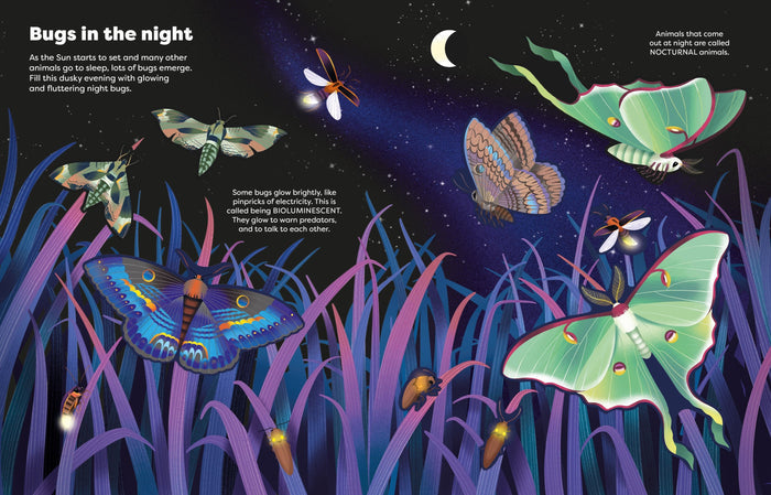 Colorful moths and glowing fireflies in tall purple grass under a crescent moon and starry night sky.
