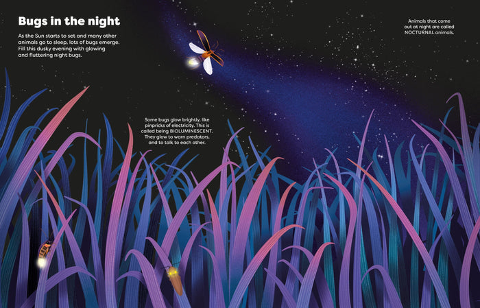 Illustration of glowing bioluminescent bugs in tall purple grass under a starry night sky.