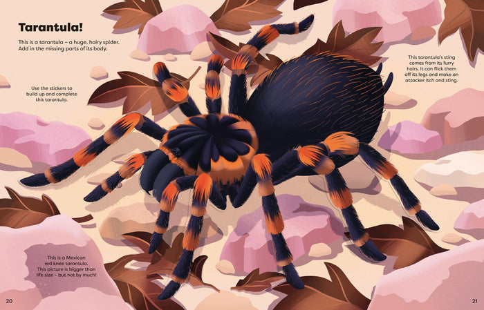 Detailed illustration of a black and orange tarantula on a sticker book page with pink rocks and dry leaves.