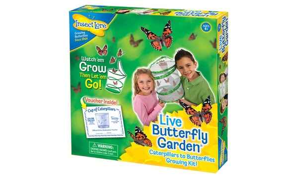 Green and yellow box showing two children, a mesh habitat, orange butterflies, and a caterpillar voucher graphic.
