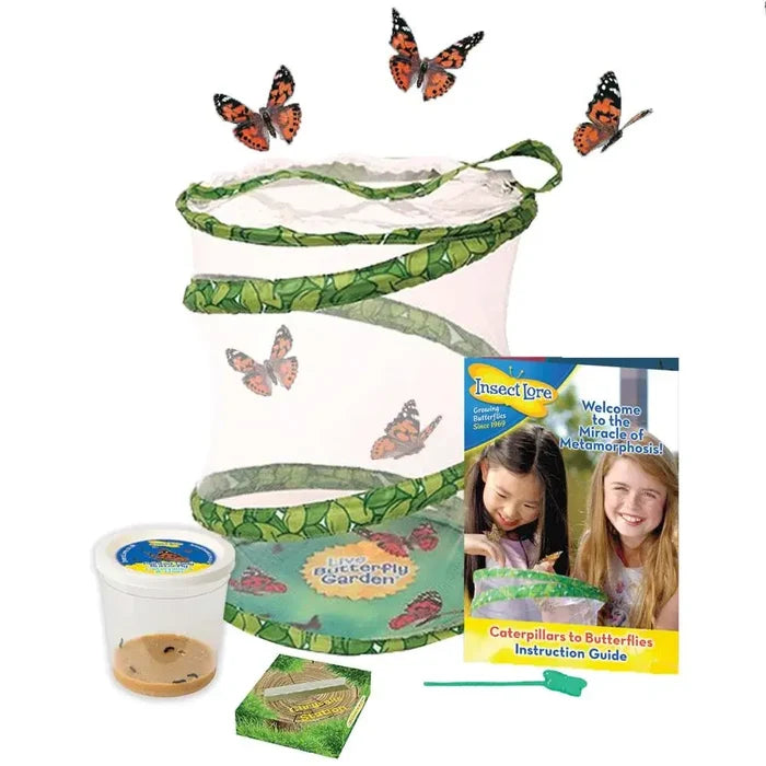 Mesh butterfly habitat with green leaf trim, live caterpillar cup, instruction guide, and orange and black butterflies.