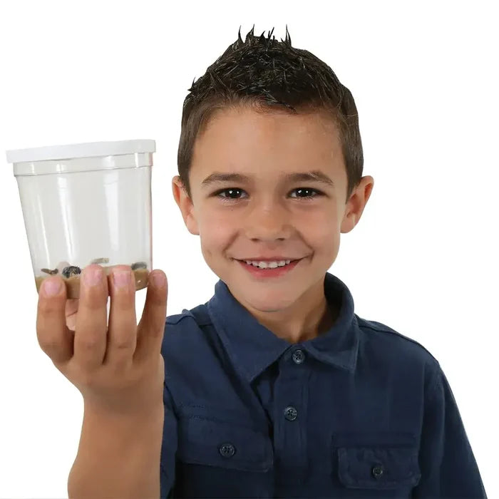 Smiling boy holds a clear plastic cup containing live dark caterpillars on a layer of brown nutrient paste.