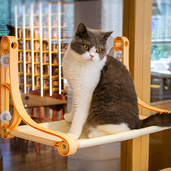 Dealonlinenz cat window perch hammock with 49cm x 30cm size, supporting up to 22.5kg, attached to a window for feline lounging