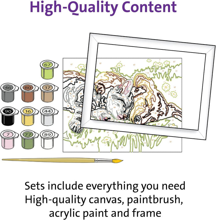 Paint-by-numbers kit including ten numbered paint pots, a paintbrush, and a framed dinosaur canvas.