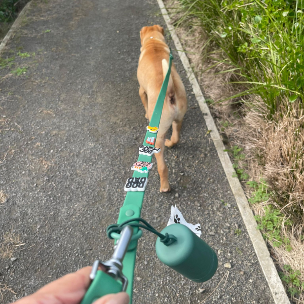 Green customizable dog lead by Walkieez, made of durable material, showing a close-up of the lead with adjustable features.
