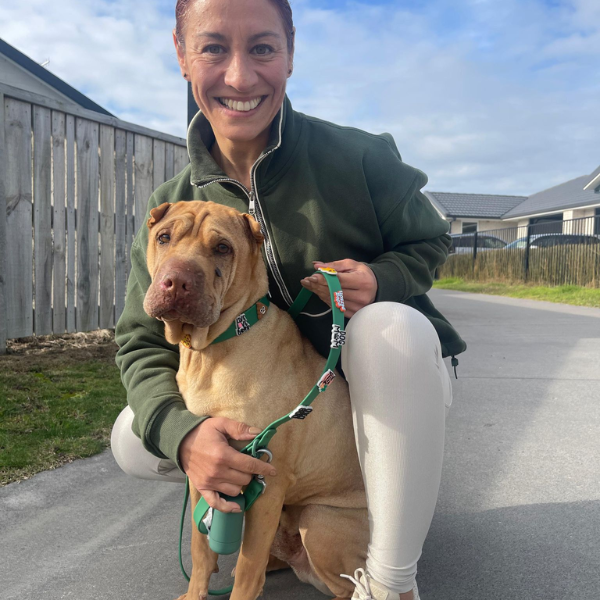 Green customizable dog lead from Walkieez, featuring a durable design and adjustable length for walking pets.