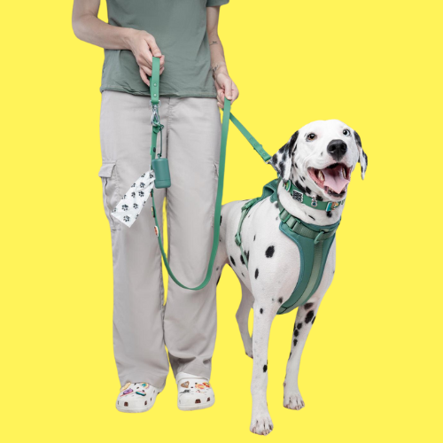 Green customizable dog lead by Walkieez showing a durable nylon leash with adjustable features and a metal clip for secure attachment.