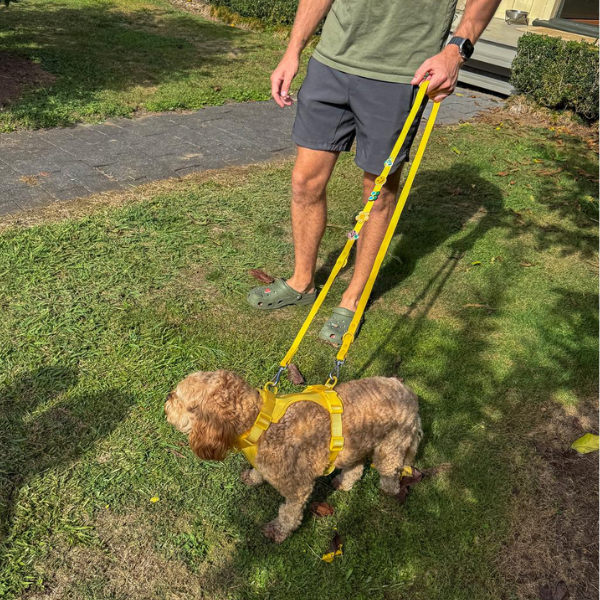 Yellow customizable dog lead from Walkieez, featuring a sturdy design and adjustable length for walking your pet.