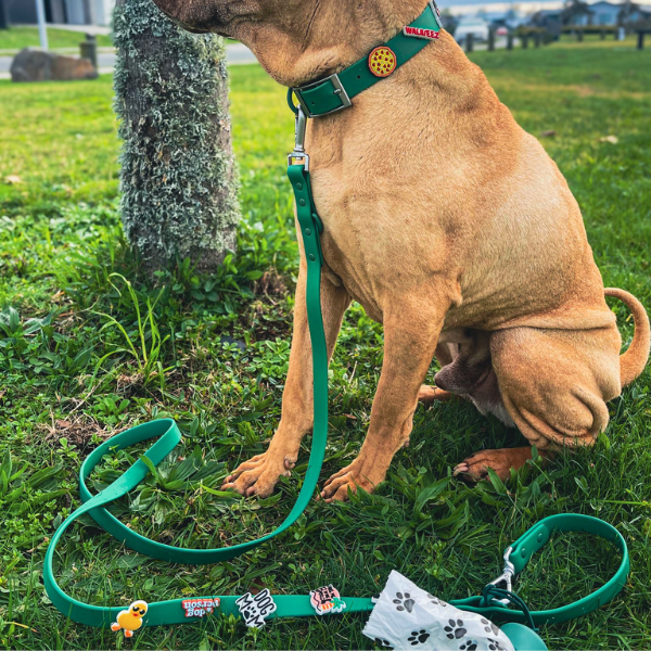 Green waterproof dog collar by Walkieez, durable and adjustable, featuring a secure buckle and vibrant color for your pet.