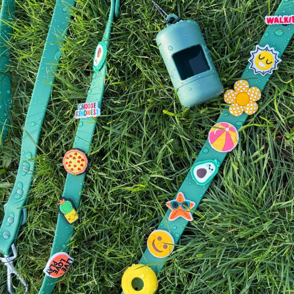 Green waterproof dog collar by Walkieez, durable and adjustable for pets, shown on a friendly dog.