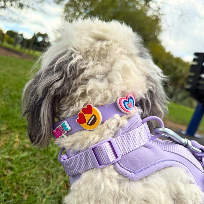 Lilac waterproof durable dog collar by Walkieez, featuring a custom design and sturdy hardware for everyday pet safety.