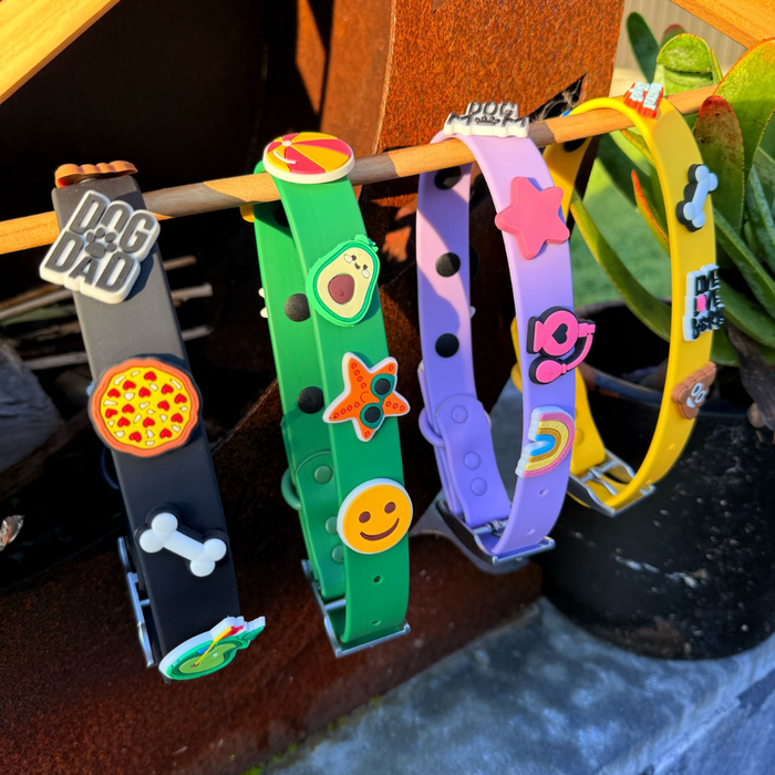 Yellow waterproof dog collar by Walkieez with durable design and adjustable fit, suitable for all dog breeds.