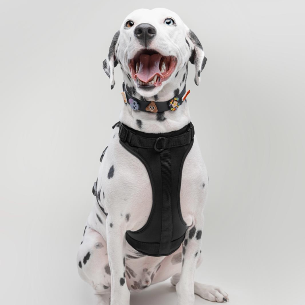 Black Walkieez no-pull dog harness for Dalmatian, adjustable harness with secure fit and comfortable design for walking.