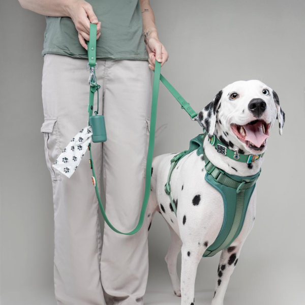 Green No-Pull Dog Harness by Walkieez, adjustable harness for dogs designed to prevent pulling and ensure comfort.