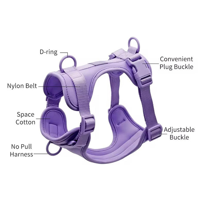 Lilac no-pull dog harness from Walkieez, designed for comfort and control, shown on a dog in a natural outdoor setting.