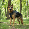 Adjustable dog harness set with chest strap and collar, lightweight vest for walking, from dealonline.co.nz