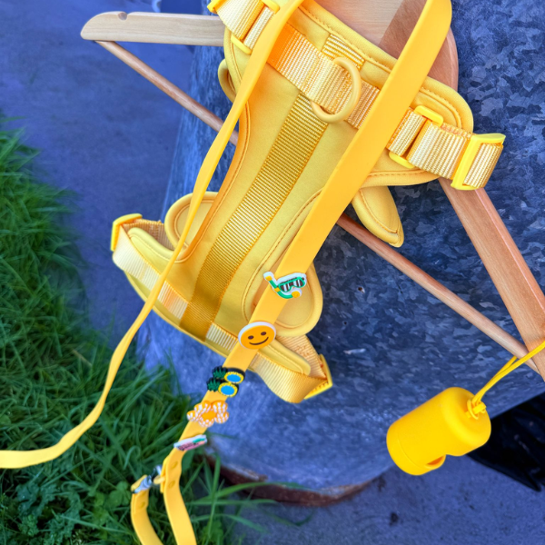 Yellow Walkieez dog harness, no-pull design, adjustable straps, and secure buckles for comfortable walking.