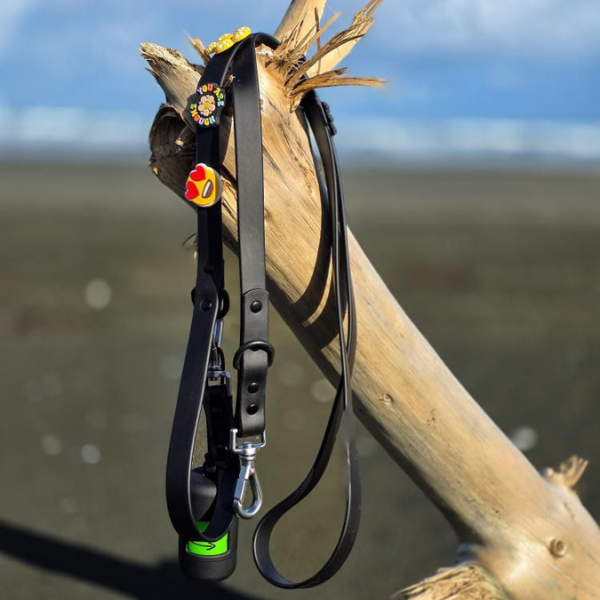 Black Walkieez dog poop bag holder and dispenser with a compact design for easy carrying during walks.