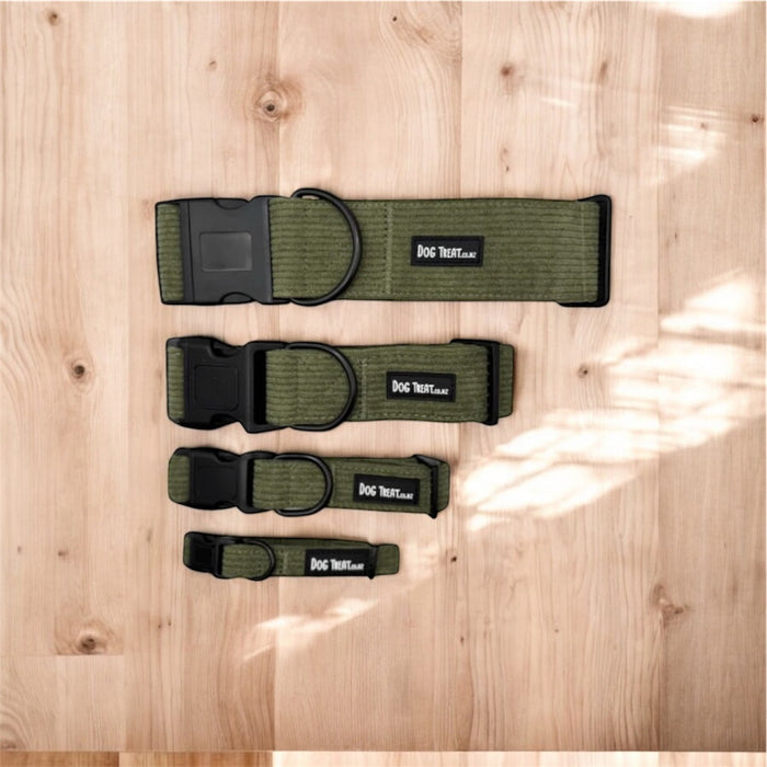 DogTreatNZ dog treat collar with colorful adjustable strap and attached treat holder, designed for easy feeding and training.