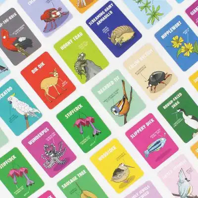 Colorful cards with humorous animal illustrations like a Dik Dik and Horny Toad on vibrant solid-color backgrounds.