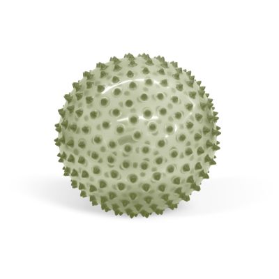 Pale green translucent sphere covered in small soft spikes against a plain white background.