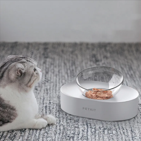 Elevated Pet Feeding Bowls