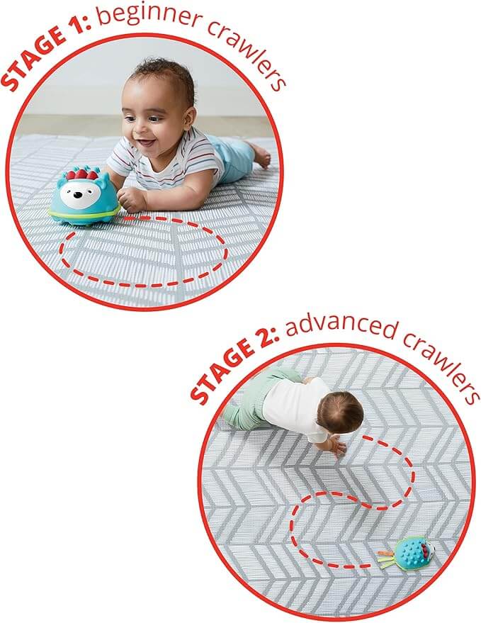 Blue hedgehog toy shown moving in a circular path for beginners and a zigzag path for advanced crawlers.