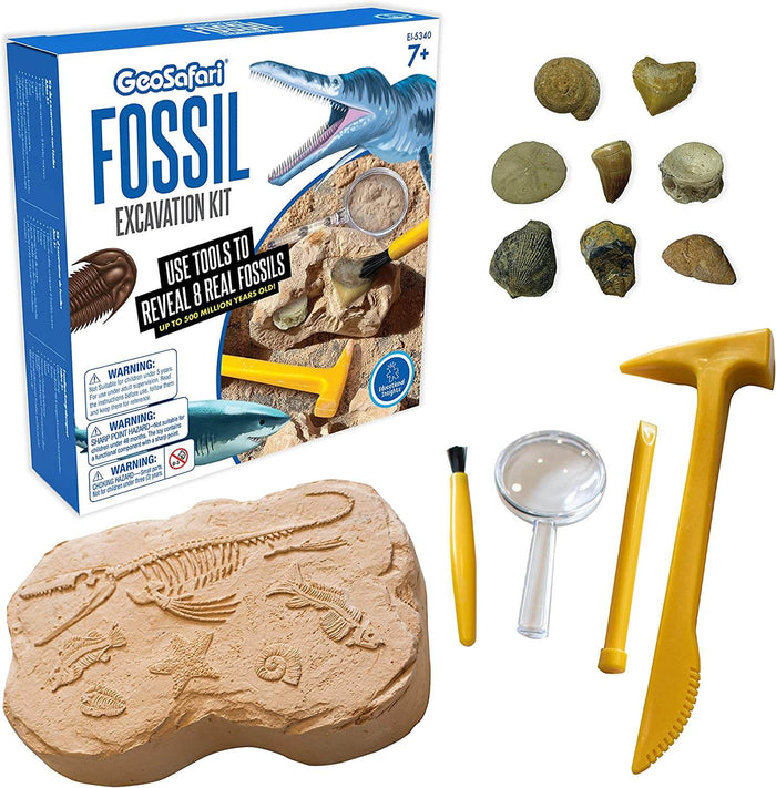 Fossil kit box, tan clay block with imprints, 8 real fossils, and yellow tools including a magnifying glass.