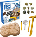 Fossil kit box, tan clay block with imprints, 8 real fossils, and yellow tools including a magnifying glass.