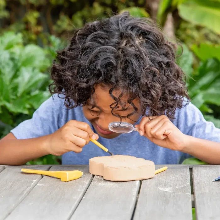 A child with curly hair uses a magnifying glass and yellow brush to excavate a tan fossil block on a wooden table.