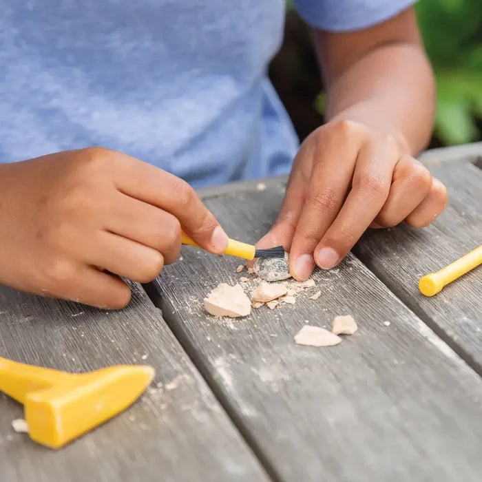 Hands using yellow tools to brush away plaster and reveal a grey fossil on a wooden outdoor surface.