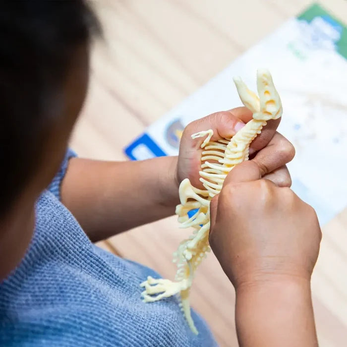 Close-up of hands assembling a pale yellow plastic T-Rex skeleton toy with visible ribcage and skull.