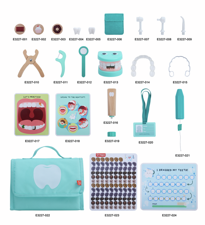 Mint green and wood 24-piece toy dentist set with tools, teeth models, carrying case, and sticker charts on white.