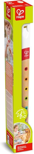Tall green box displaying a wooden toy recorder with a white mouthpiece and multi-colored finger holes.