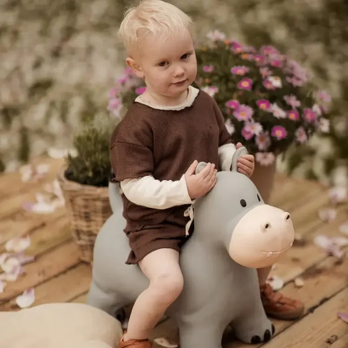 Toddler sitting on a grey inflatable hippo bouncing toy with a cream snout and small ears for handles.