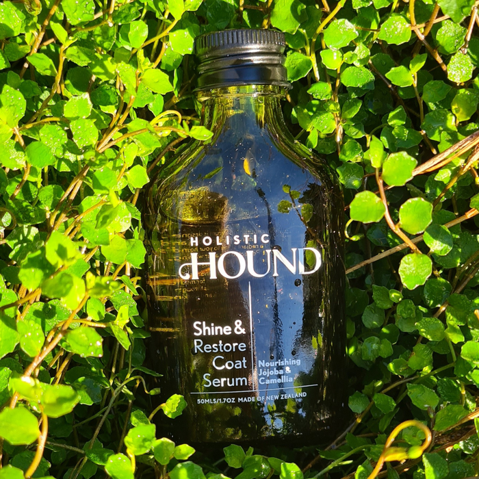 Holistic Hound Shine & Restore Coat Serum in 50ml bottle, featuring a clear serum for improving dog coat health and shine.