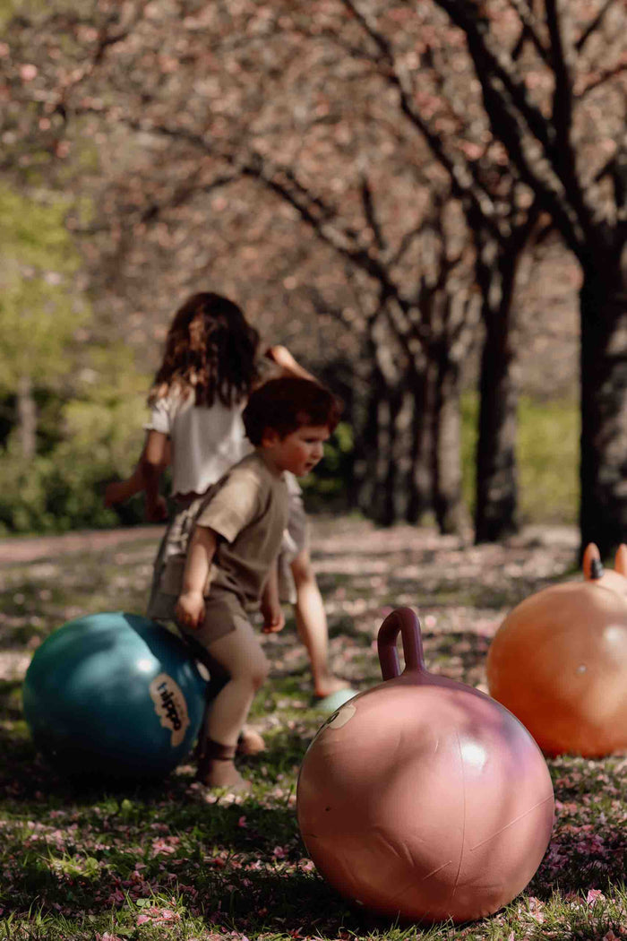 Pink inflatable hopper ball with a handle sits on a petal-covered lawn with children playing in the background.
