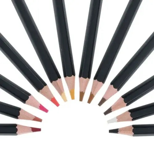 12 black-barreled coloring pencils with diverse skin-tone tips fanned out in a semi-circle.