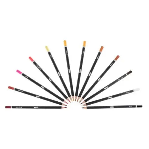 Twelve black-barrelled colouring pencils with various skin-toned tips arranged in a semi-circle fan layout.