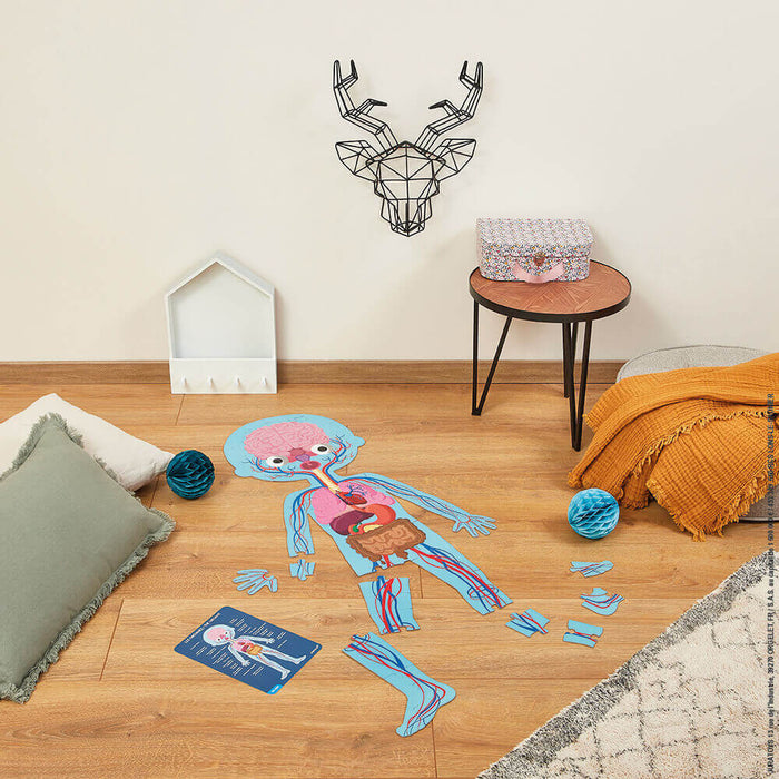 Large blue human body floor puzzle showing internal organs and veins on a wooden floor with room decor.