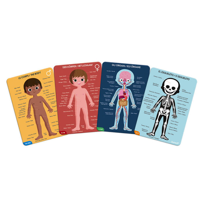 Four colorful puzzle boards showing a boy, a girl, internal organs, and a skeleton with multilingual anatomical labels.