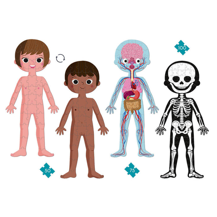 Four giant human body puzzles showing a girl, a boy, internal organs, and the skeletal system.
