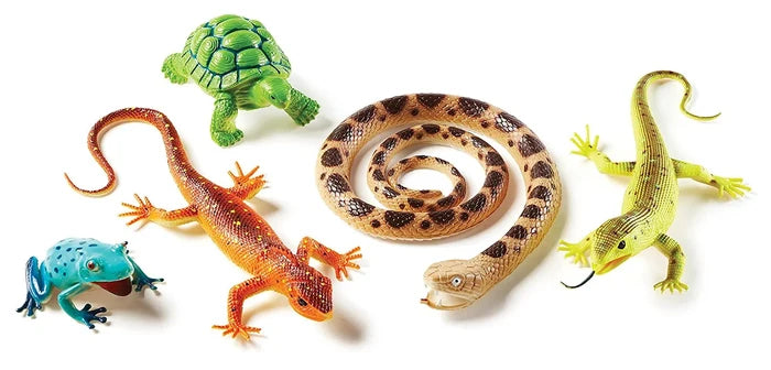 Five toy animals: a green turtle, orange spotted lizard, blue spotted frog, coiled tan snake, and lime green lizard.