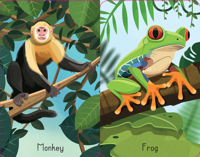 Two illustrated game cards featuring a white-faced monkey and a green red-eyed tree frog with bright orange feet.
