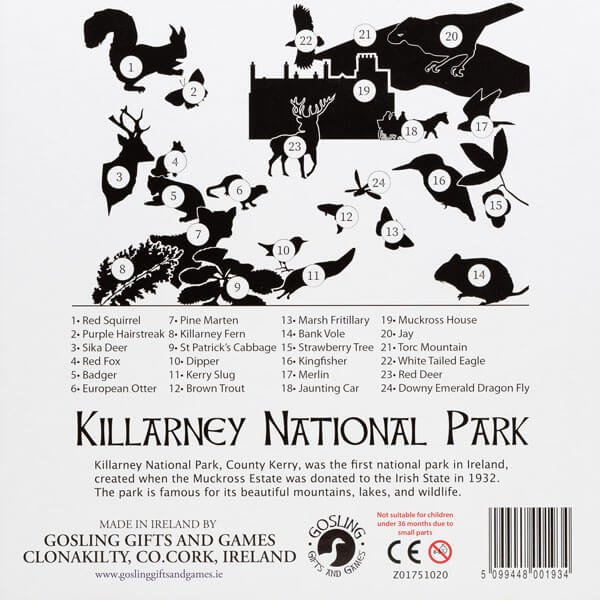 Numbered black silhouettes of Irish wildlife and landmarks on a white background with a descriptive legend below.