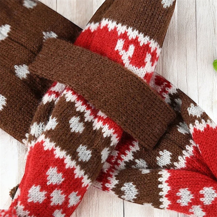Knitted dog scarf by DogTreatNZ, cozy and stylish accessory for small and medium dogs, in soft, colorful yarn.