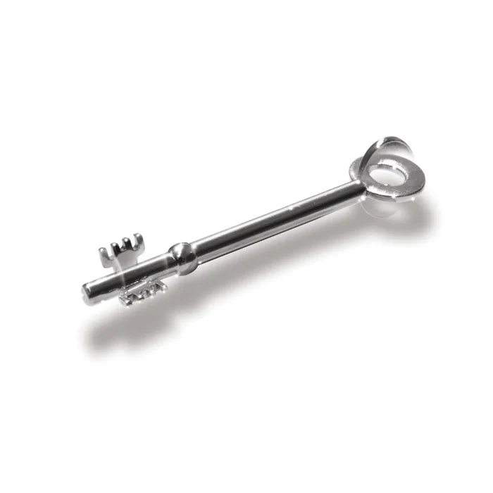 Shiny silver skeleton key with a circular bow and notched bit, lying diagonally on a white surface.